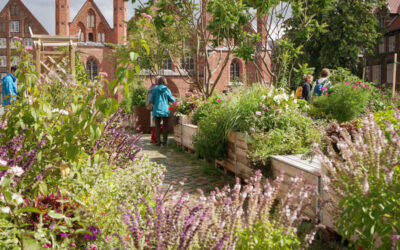 Lübecks grüne Oasen